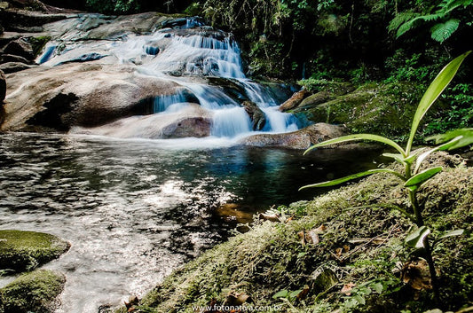 🌿 Proposta de Estruturação na Plataforma Paytour