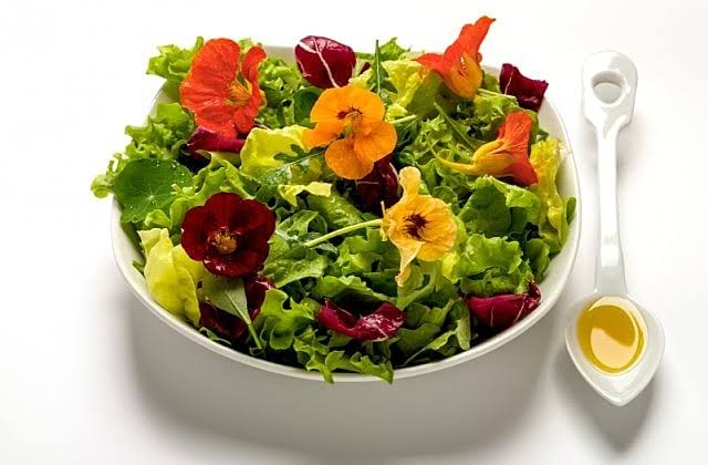 Receitas e Saberes com PANCs e Ervas Aromáticas do Jardim