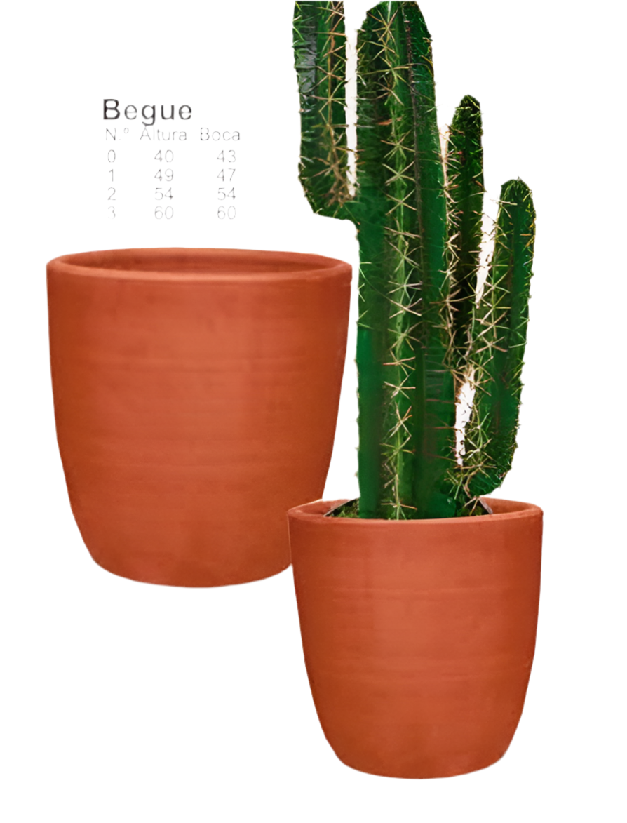 Vaso Begue