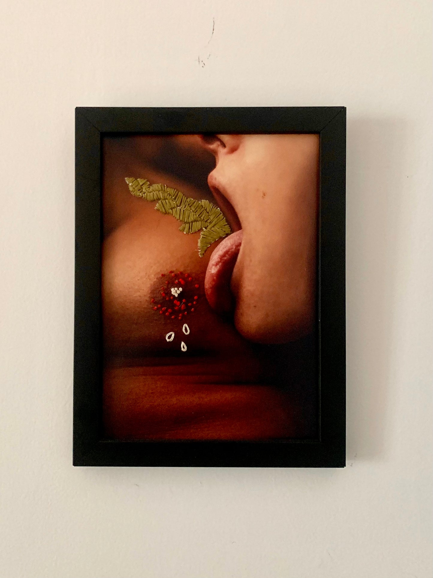 Bordado Sobre Fotografia