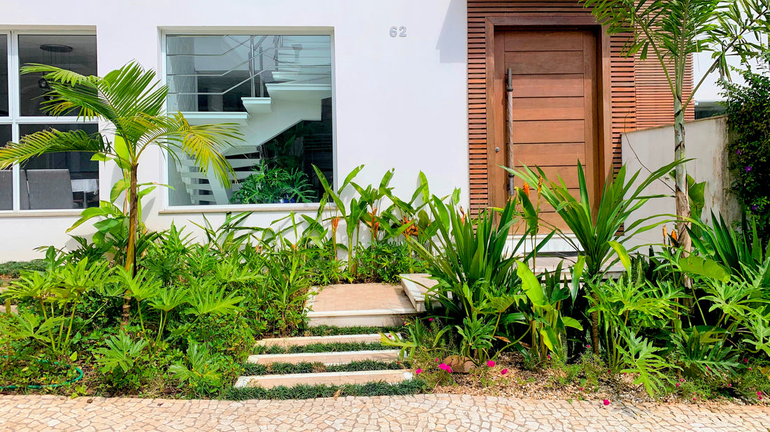 Casa 62 - Desenvolvimento de Jardins Sustentáveis e Biodiversos