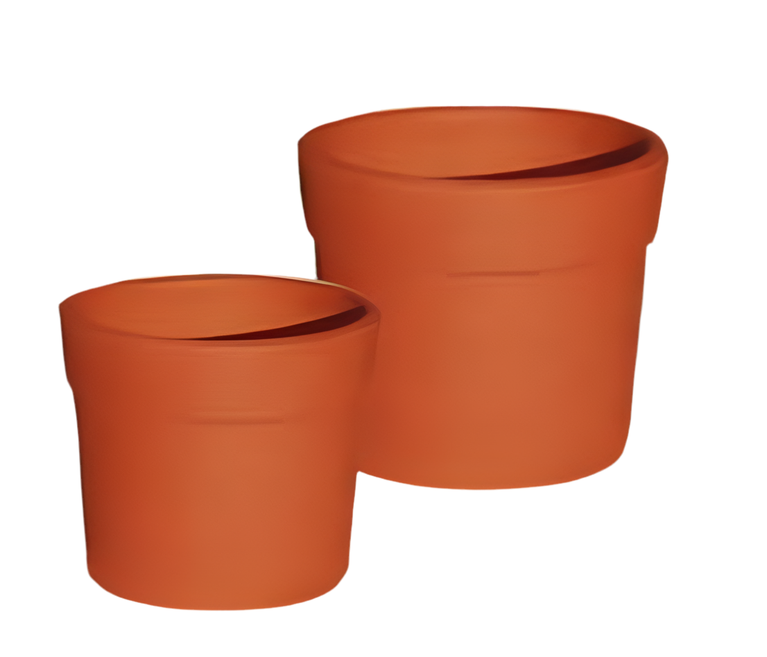 Vaso Begônia
