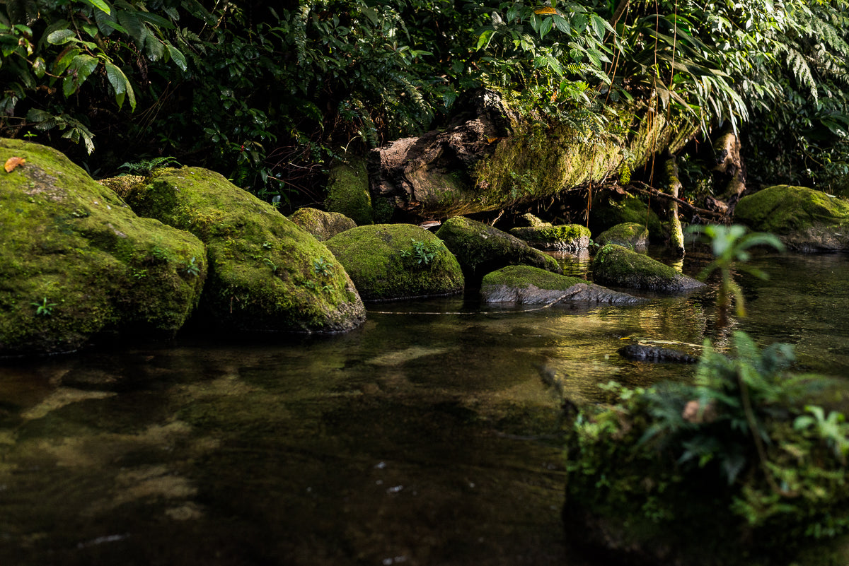 Cachoeira do Guaratuba - Guapuruvu Turismo
