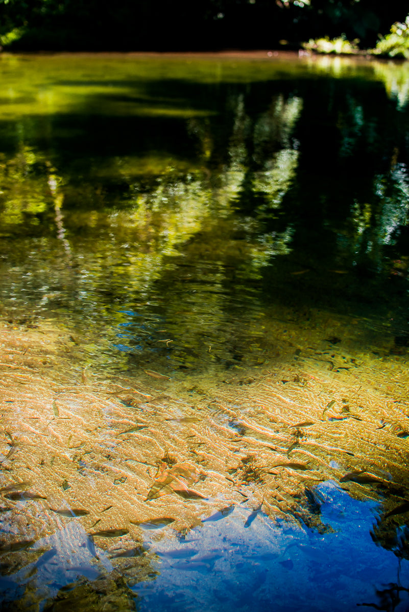 Cachoeira do Guaratuba - Guapuruvu Turismo