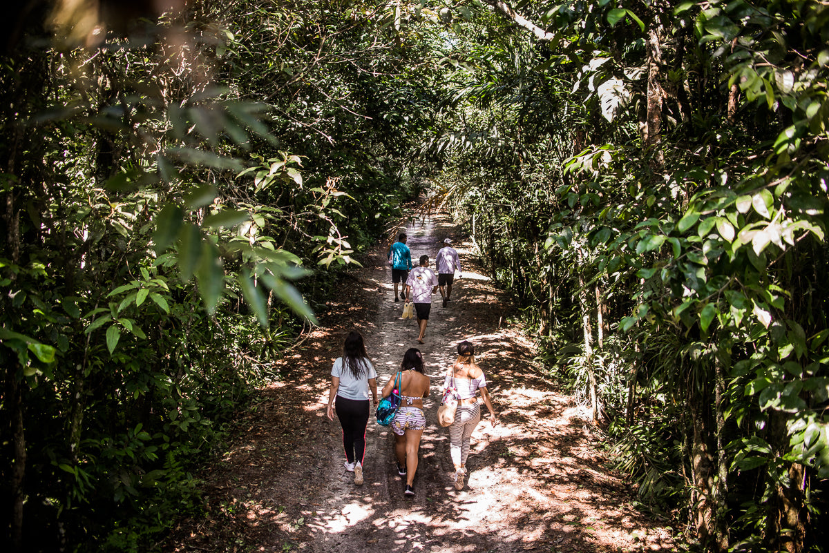 Cachoeira do Guaratuba - Guapuruvu Turismo